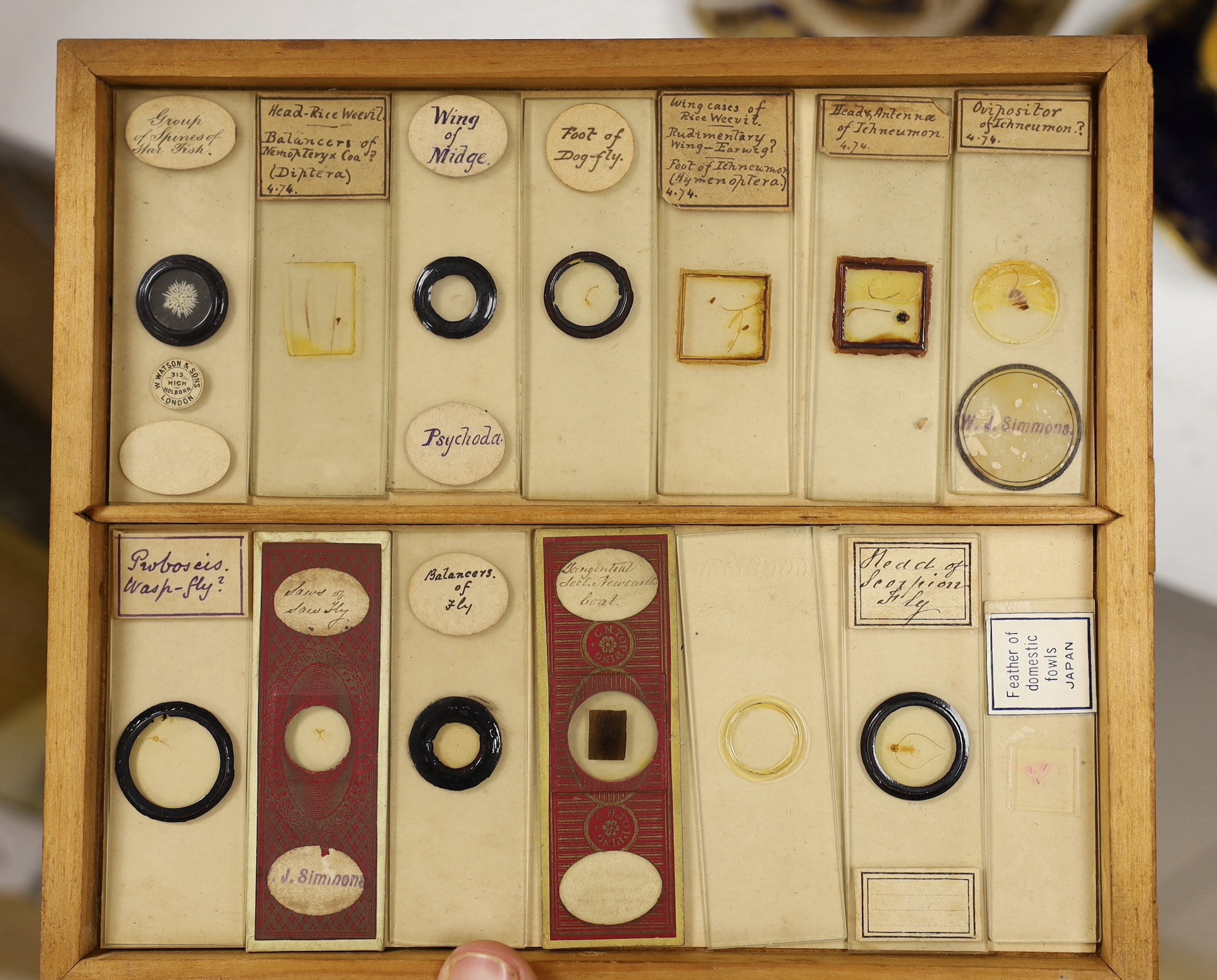 A collection of approximately 200 Victorian and later microscope slides in late 19th century cabinet. Ivory submission reference: UKC532GL